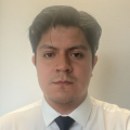 Diego Fernando Vargas Vences